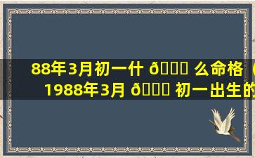 88年3月初一什 🐈 么命格（1988年3月 🐎 初一出生的男命运）